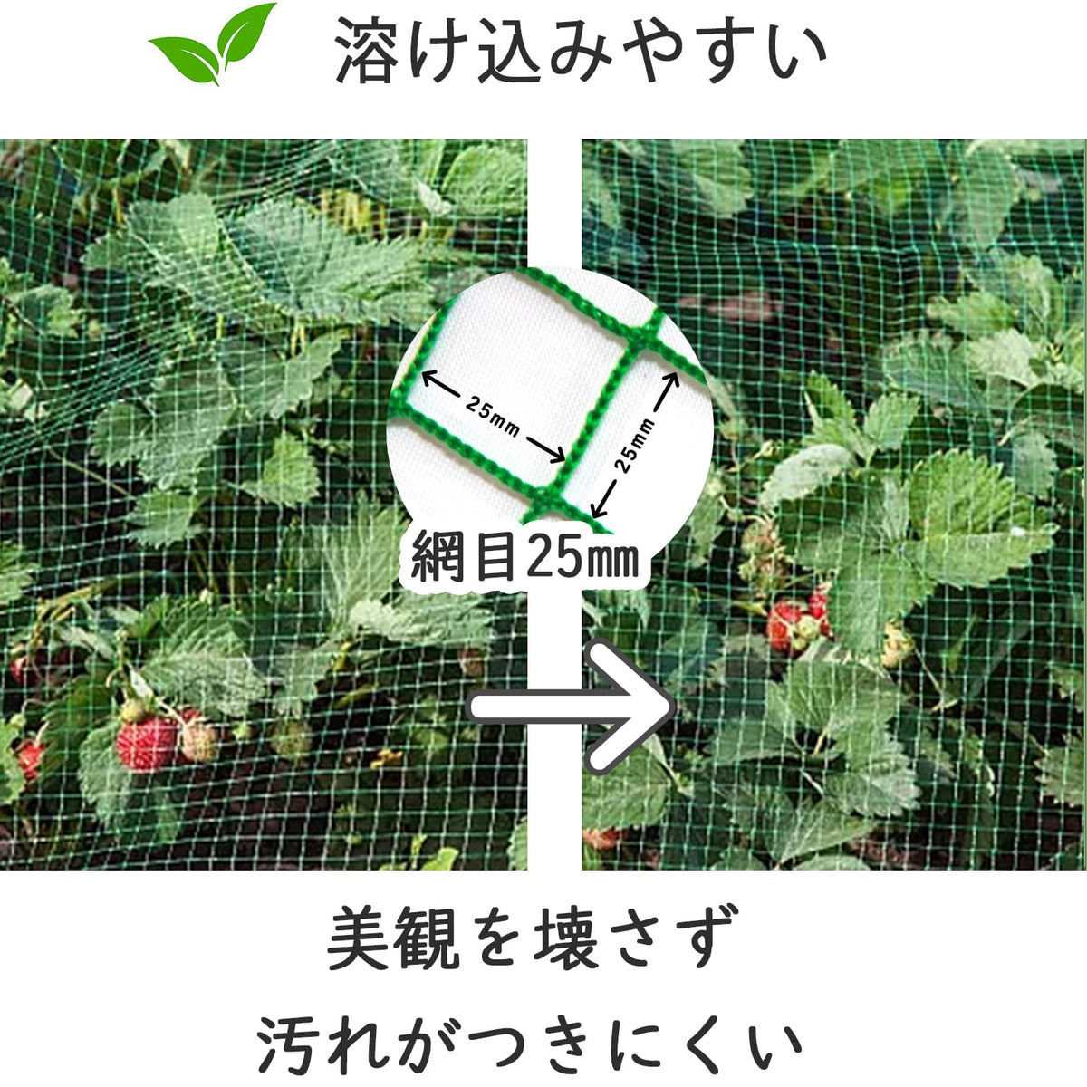 RAKUGEN 多目的グリーンネット 養生・防球・防鳥ネット｜ロープ＆カラビナ付 強力ポリエチレン 庭・ベランダ・農業・現場用