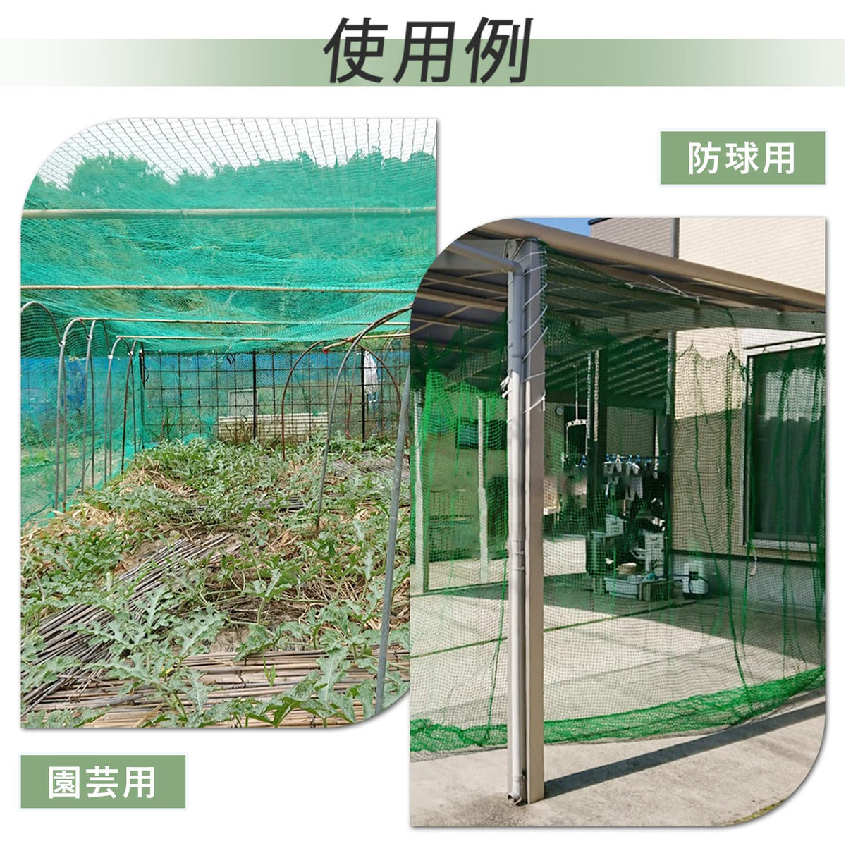 RAKUGEN 多目的グリーンネット 養生・防球・防鳥ネット｜ロープ＆カラビナ付 強力ポリエチレン 庭・ベランダ・農業・現場用