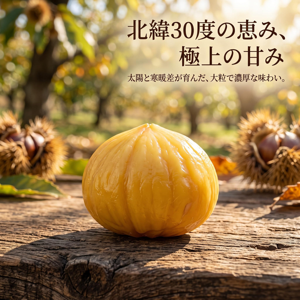 RAKUGEN 完全無添加 むき甘栗 500g 大容量 個包装パック おやつ・料理・スイーツ作り対応